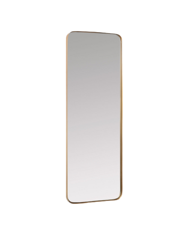 Haily Mirror